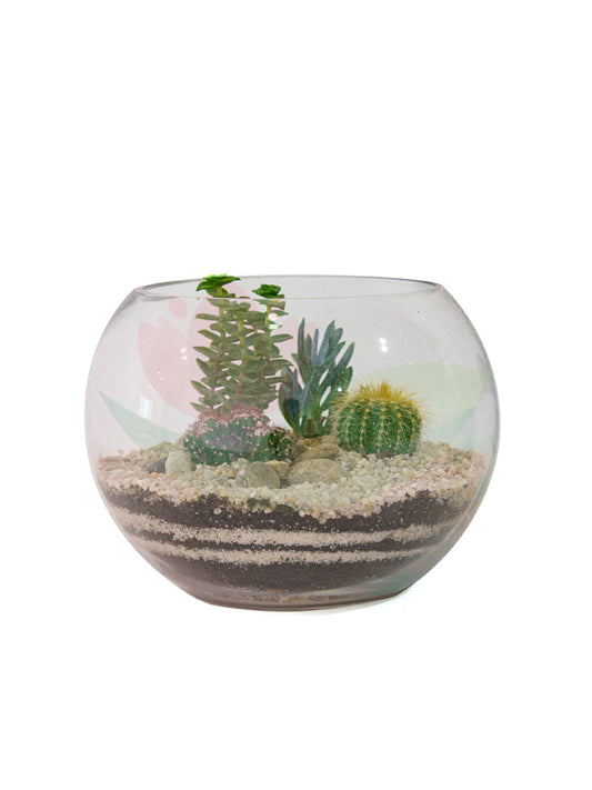 Cactus And Succulent Terrarium #1