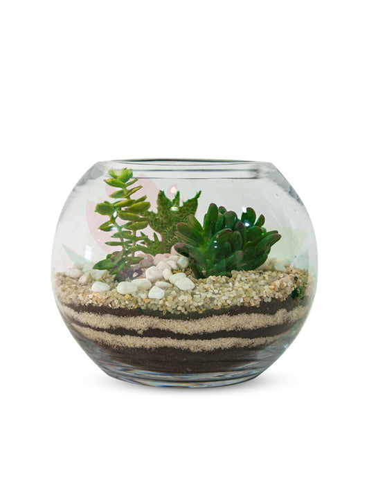 https://plantnpot.com/products/cactus-and-succulent-terrarium-3