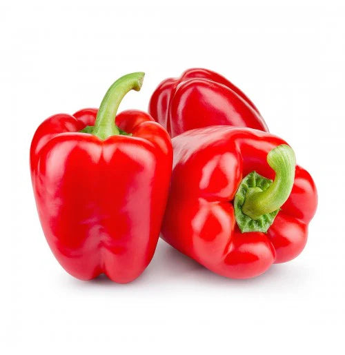 Red Capsicum Seed...