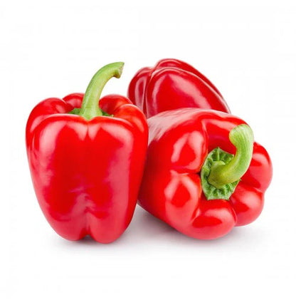 Red Capsicum Seeds (Paprika) | بذور الكابسيكوم الأحمر (بابريكا)