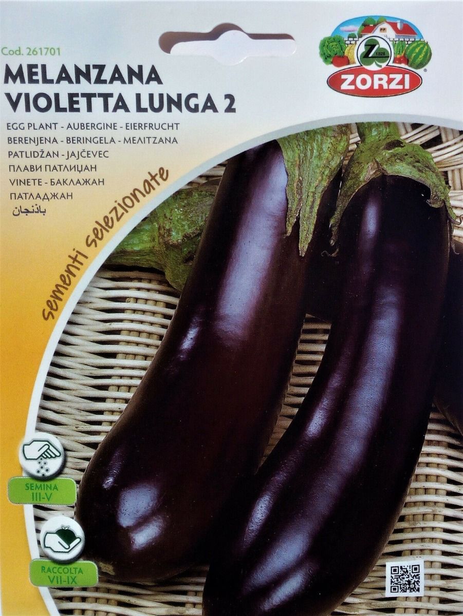 Eggplant Seeds