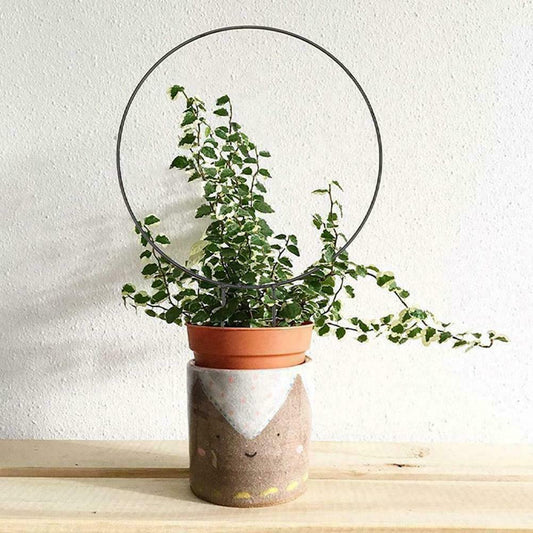 Climbing Plant Support - Iron Stand - Round Shape