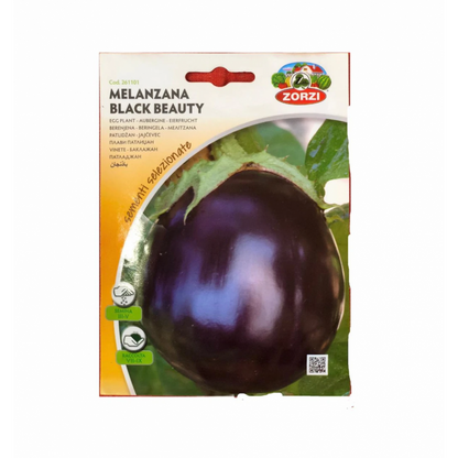 Eggplant Black Beauty