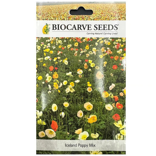 Iceland Poppy Mix Seeds - بذور خشخاش آيسلندي خليط