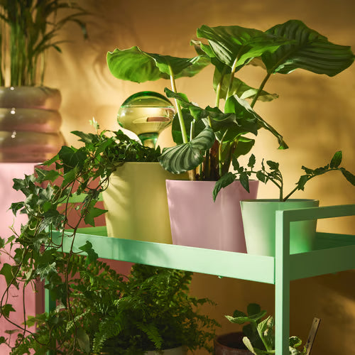 Pink Ceramic Pot ...