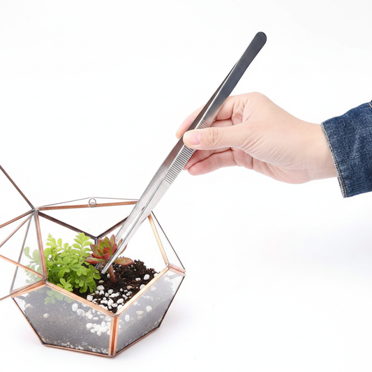 Stainless Steel Tweezers – Terrarium Use