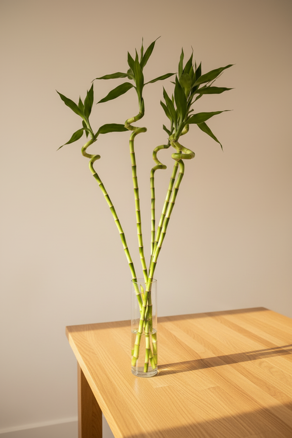 Tall Bamboo in Vase — Oak Table