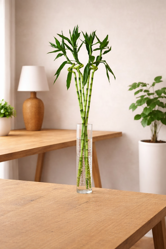 Tall Bamboo in Vase — Oak Table