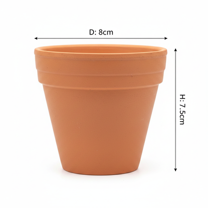 Terracotta Pot White Background with Dimensions