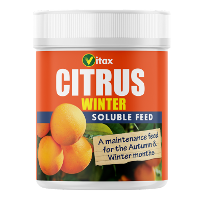 Citrus Plant Fertilizer