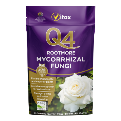 Q4 Rootmore Beneficial Mycorrhizal Fungi