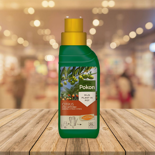 Pokon Citrus Food- 250Ml