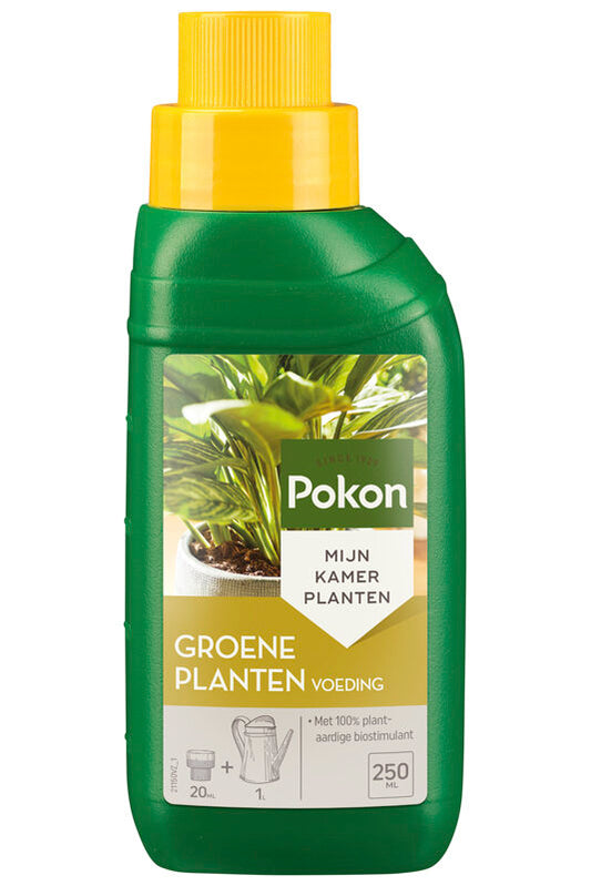 Pokon Indoor Green Plants Food 250 ML