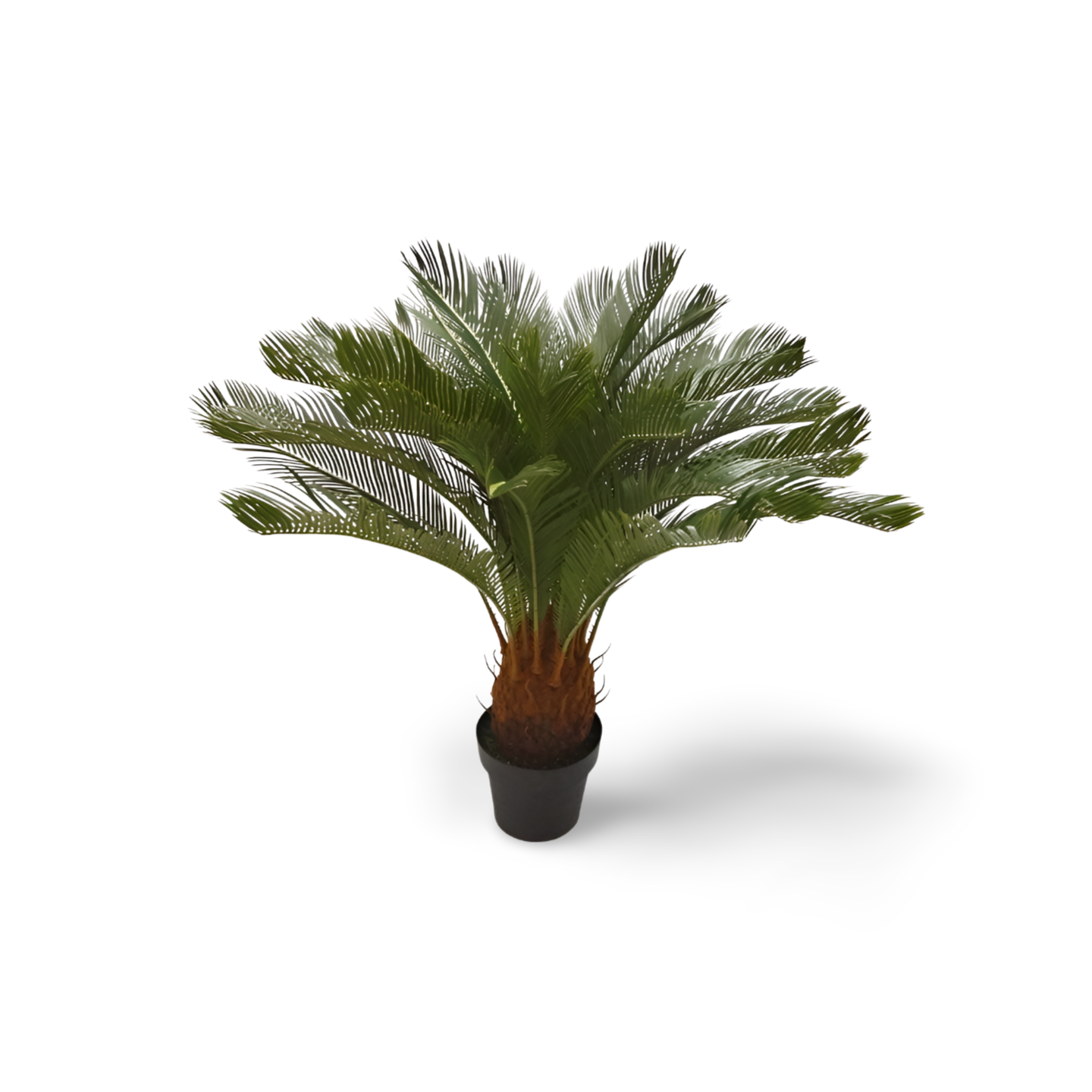 Cycas Tree 93cm (Artificial Plant) – Plant and Pot Co.